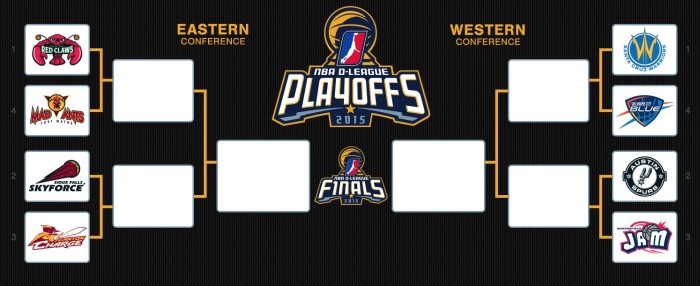 NBA D-League Playoffs
